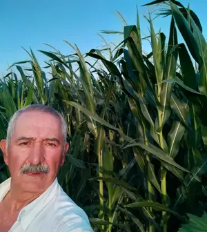 Mısır