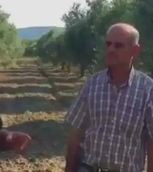 Zeytin