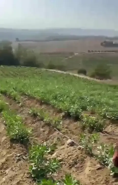 Bakla, Tarsus, Mersin — Proverim saha kaydı