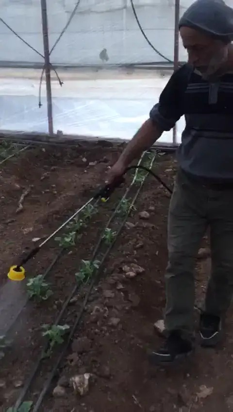 Kavun · uygulama, Antalya — Proverim saha kaydı
