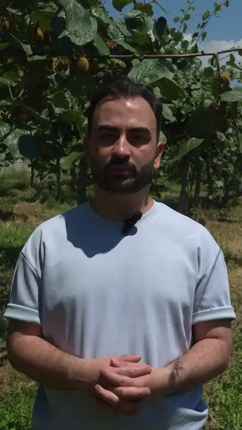 Kivi · ziraat mühendisi — Proverim saha kaydı